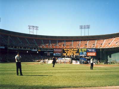 bb_view_dugout